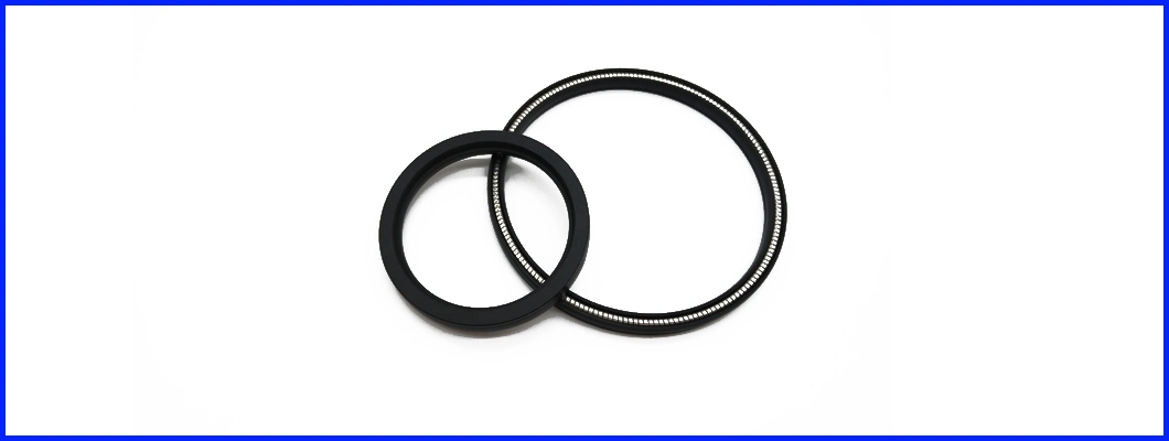 Different Type Special Spring Energized PTFE Seal/Variseal