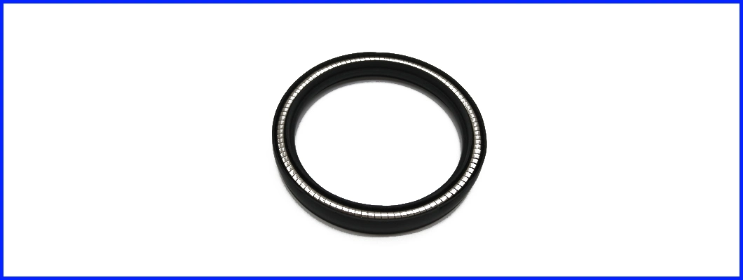 Different Type Special Spring Energized PTFE Seal/Variseal